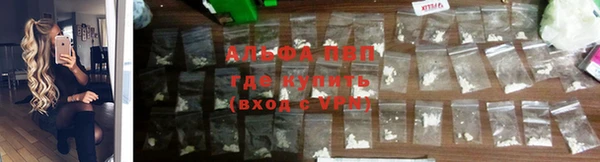 ГАЛЛЮЦИНОГЕННЫЕ ГРИБЫ Верея