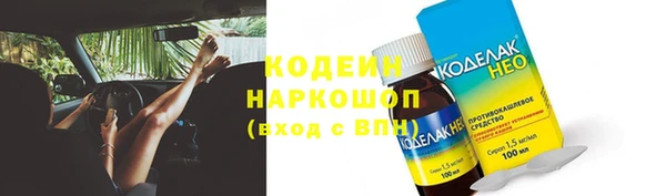 ГАЛЛЮЦИНОГЕННЫЕ ГРИБЫ Верея