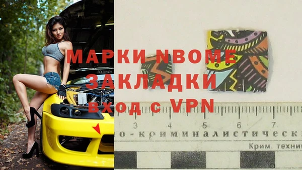 ГАЛЛЮЦИНОГЕННЫЕ ГРИБЫ Верея