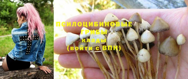 герыч Верхний Тагил