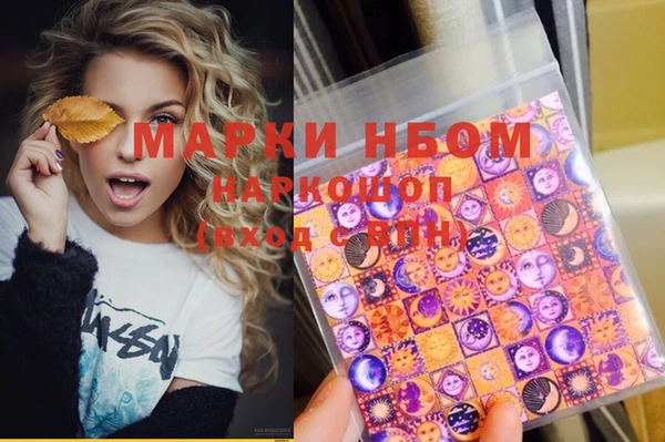ГАЛЛЮЦИНОГЕННЫЕ ГРИБЫ Верея