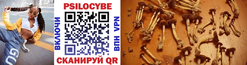 Псилоцибиновые грибы мицелий  Купить где  Маркс 